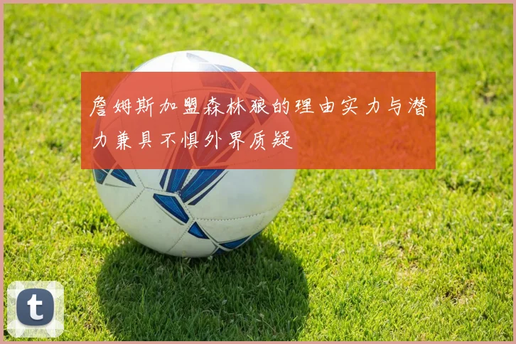 詹姆斯加盟森林狼的理由实力与潜力兼具不惧外界质疑
