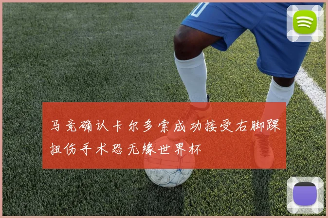 马竞确认卡尔多索成功接受右脚踝扭伤手术恐无缘世界杯